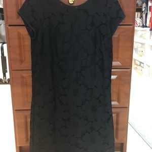 Ann Taylor Loft Black Lace Dress